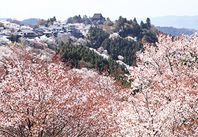 奈良県の観光スポット